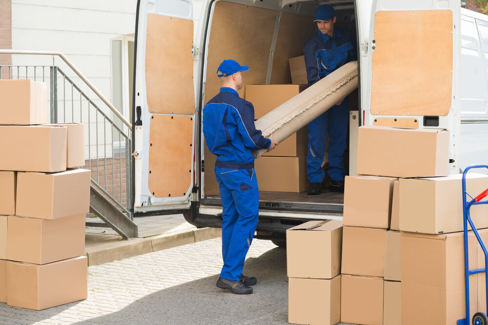 Reading Family Movers